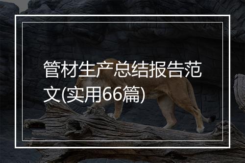 管材生产总结报告范文(实用66篇)