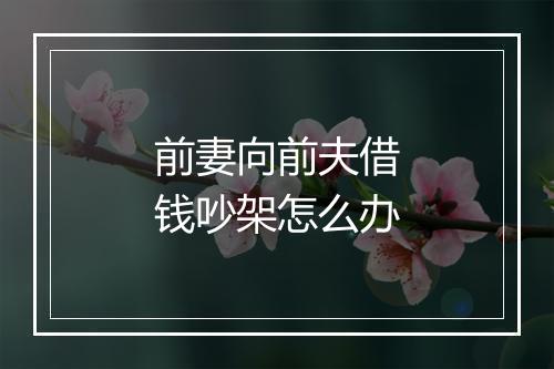 前妻向前夫借钱吵架怎么办