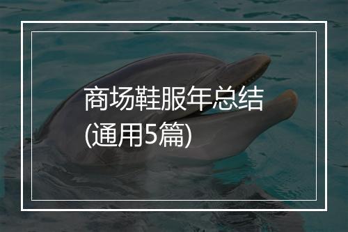 商场鞋服年总结(通用5篇)