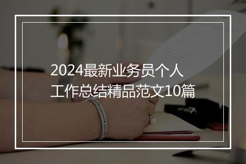 2024最新业务员个人工作总结精品范文10篇