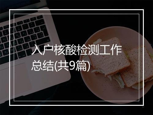 入户核酸检测工作总结(共9篇)