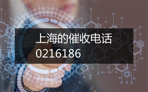 上海的催收电话0216186