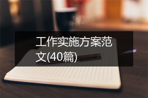 工作实施方案范文(40篇)