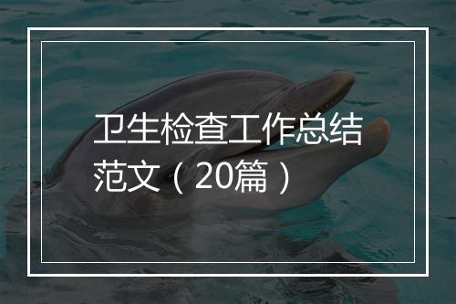 卫生检查工作总结范文（20篇）