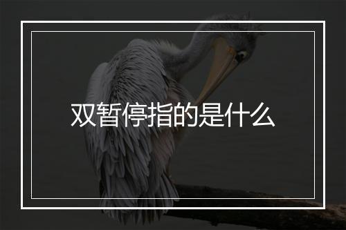 双暂停指的是什么
