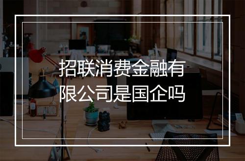 招联消费金融有限公司是国企吗