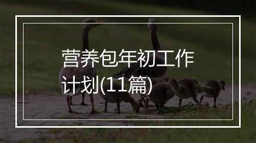 营养包年初工作计划(11篇)