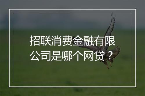 招联消费金融有限公司是哪个网贷？