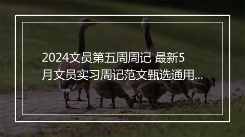 2024文员第五周周记 最新5月文员实习周记范文甄选通用版10篇