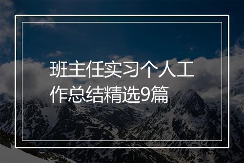 班主任实习个人工作总结精选9篇