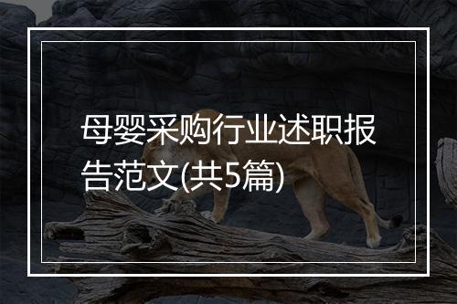 母婴采购行业述职报告范文(共5篇)