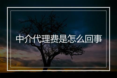 中介代理费是怎么回事