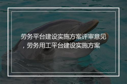 劳务平台建设实施方案评审意见，劳务用工平台建设实施方案