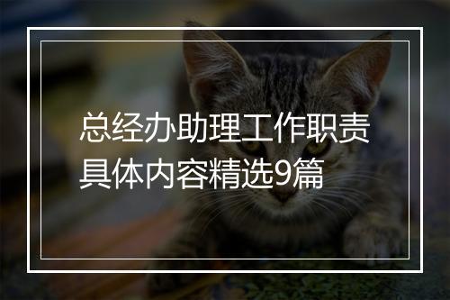 总经办助理工作职责具体内容精选9篇