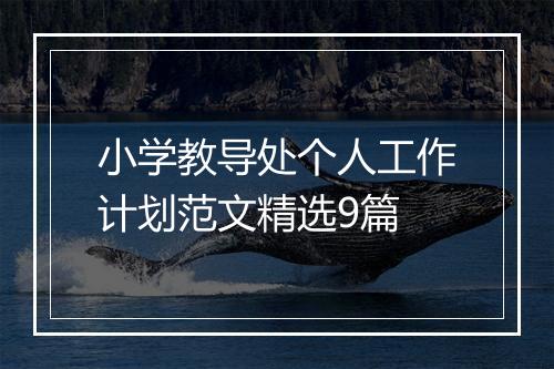小学教导处个人工作计划范文精选9篇