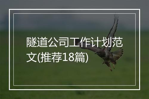 隧道公司工作计划范文(推荐18篇)