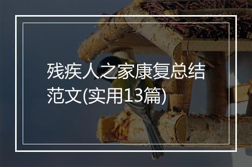 残疾人之家康复总结范文(实用13篇)