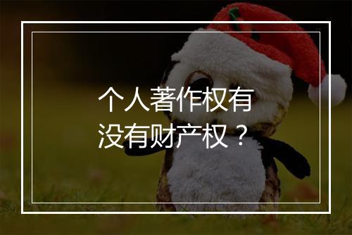 个人著作权有没有财产权？