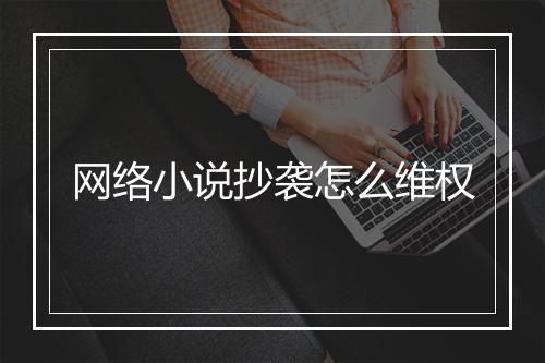 网络小说抄袭怎么维权
