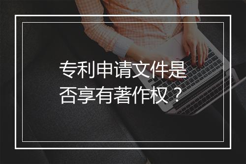 专利申请文件是否享有著作权？