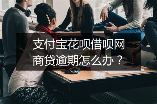 支付宝花呗借呗网商贷逾期怎么办？