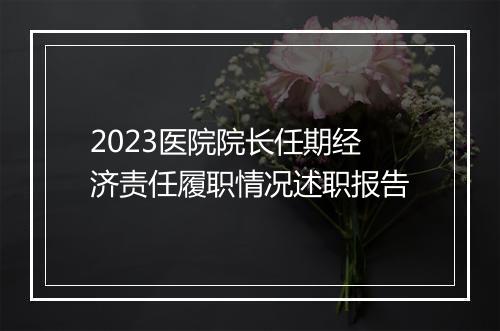 2023医院院长任期经济责任履职情况述职报告