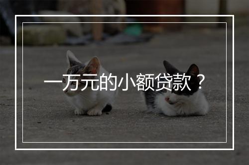 一万元的小额贷款？
