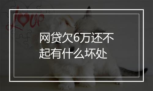 网贷欠6万还不起有什么坏处
