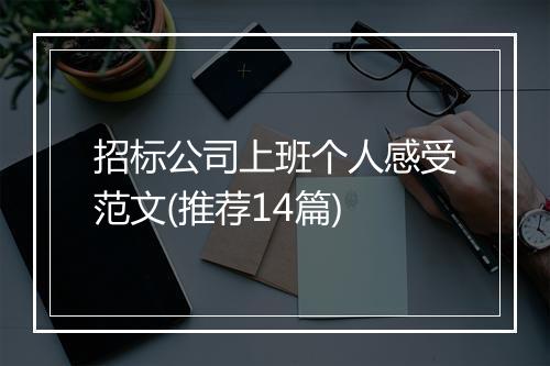 招标公司上班个人感受范文(推荐14篇)