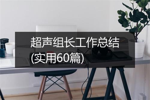 超声组长工作总结(实用60篇)