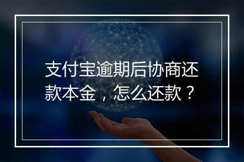 支付宝逾期后协商还款本金，怎么还款？