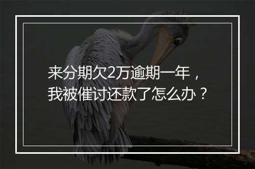 来分期欠2万逾期一年，我被催讨还款了怎么办？