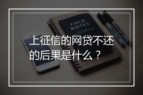 上征信的网贷不还的后果是什么？