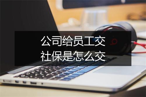 公司给员工交社保是怎么交