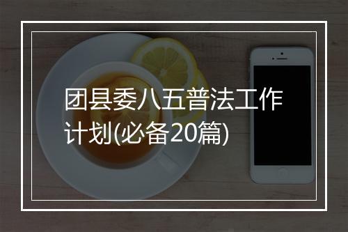 团县委八五普法工作计划(必备20篇)