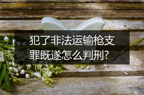 犯了非法运输枪支罪既遂怎么判刑?