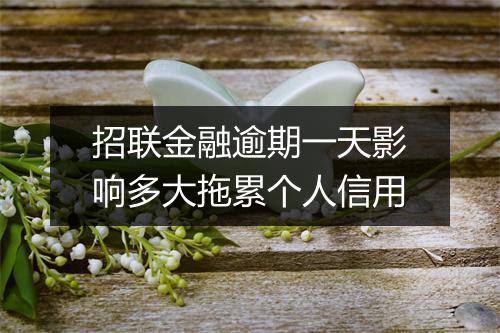 招联金融逾期一天影响多大拖累个人信用