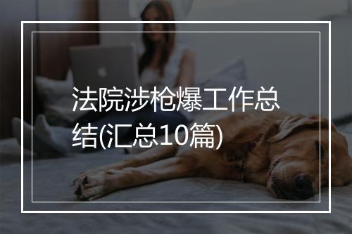 法院涉枪爆工作总结(汇总10篇)