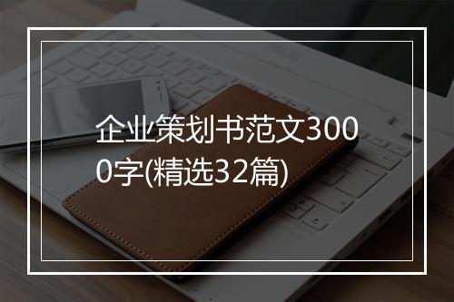 企业策划书范文3000字(精选32篇)