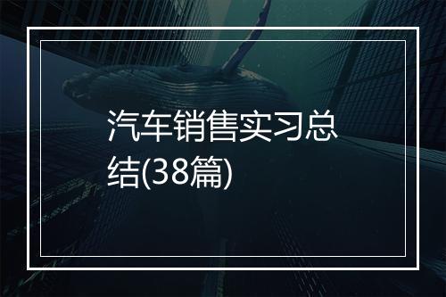 汽车销售实习总结(38篇)