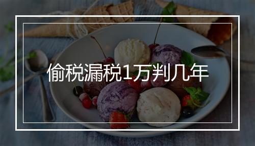 偷税漏税1万判几年