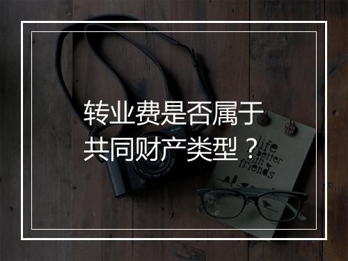 转业费是否属于共同财产类型？