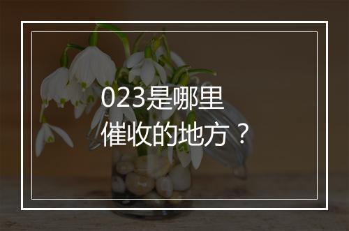 023是哪里催收的地方？