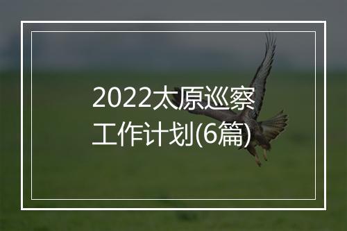 2022太原巡察工作计划(6篇)
