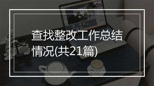 查找整改工作总结情况(共21篇)