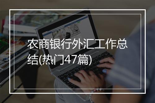 农商银行外汇工作总结(热门47篇)