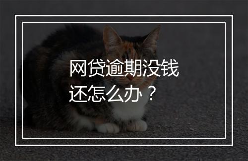 网贷逾期没钱还怎么办？