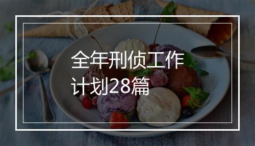 全年刑侦工作计划28篇