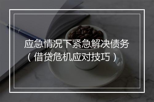 应急情况下紧急解决债务（借贷危机应对技巧）
