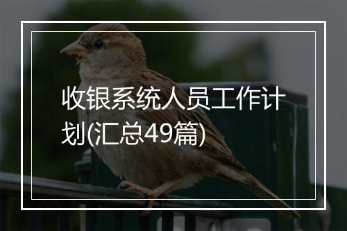 收银系统人员工作计划(汇总49篇)